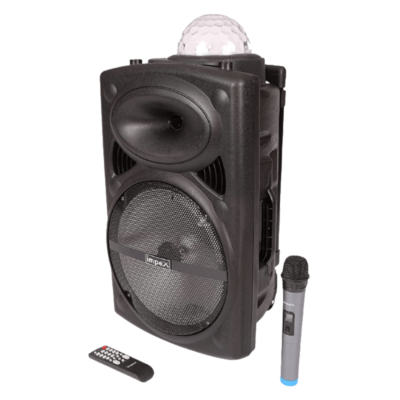 Portable speaker with microphone - 250 Watts